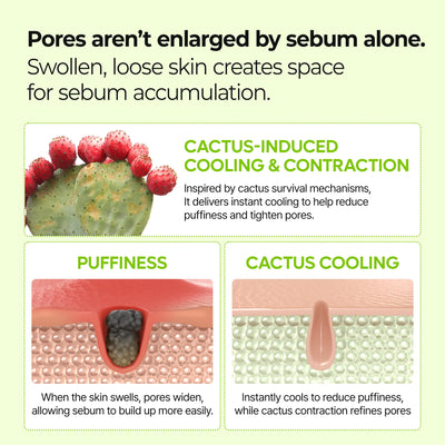 10-Step Skin Renewal Routine Set