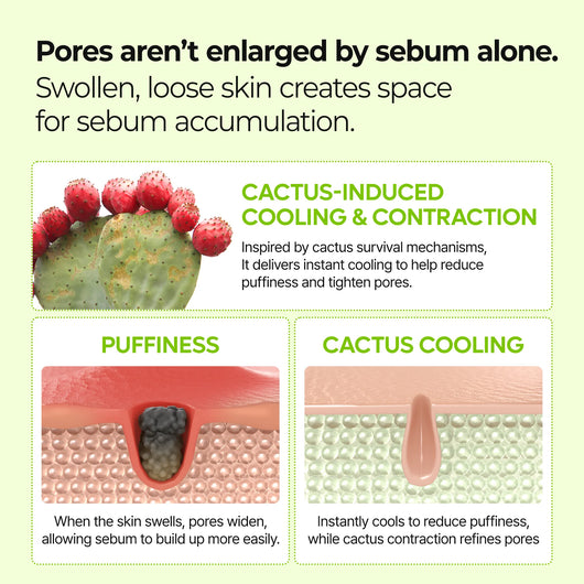 10-Step Skin Renewal Routine Set